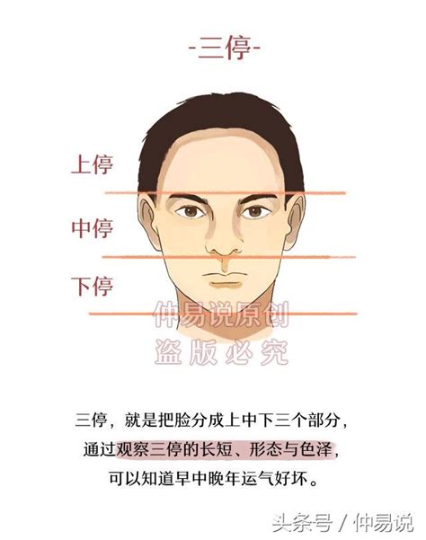 八字鬍面相|八字鬍的面相說法